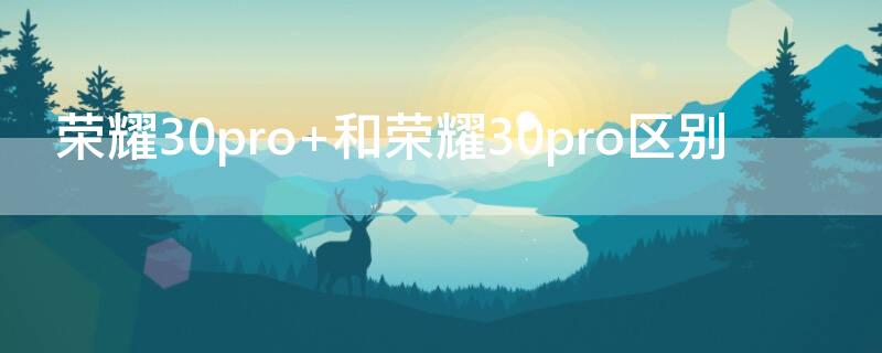 荣耀30pro+和荣耀30pro区别