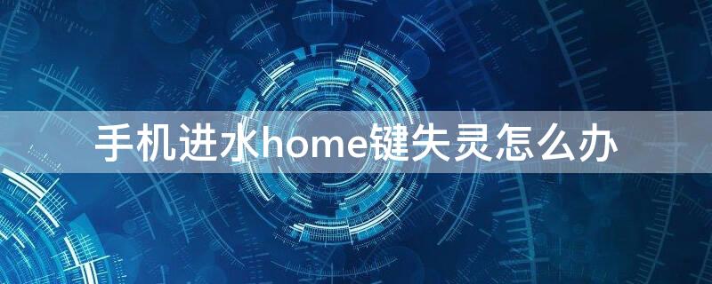 手机进水home键失灵怎么办