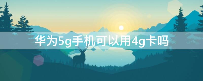 华为5g手机可以用4g卡吗