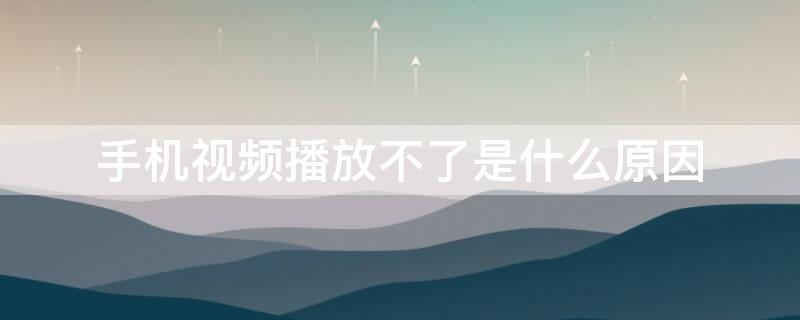 手机视频播放不了是什么原因