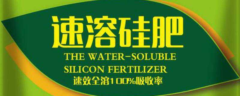 叶面肥能和杀虫药一起喷吗 叶面肥可以跟农药一起混合喷施吗