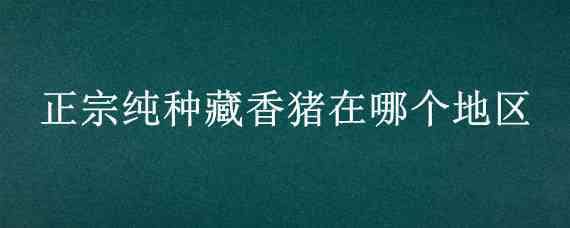 正宗纯种藏香猪在哪个地区（正宗纯种藏香猪在哪个地区卖）