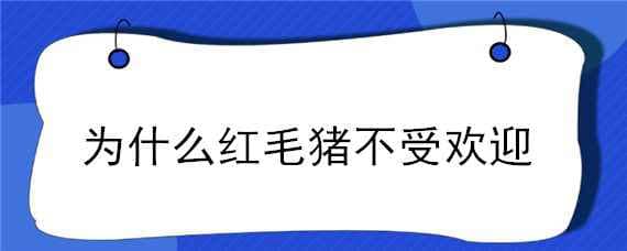 为什么红毛猪不受欢迎 红毛猪为什么生长慢