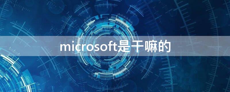 microsoft是干嘛的