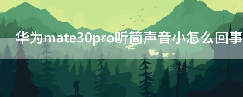 华为mate30pro听筒声音小怎么回事