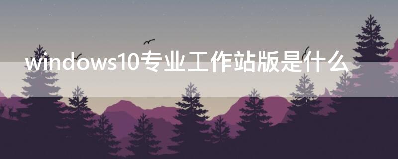 windows10专业工作站版是什么