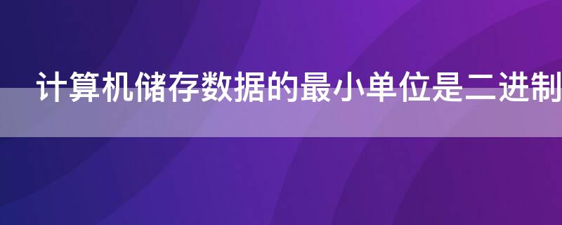 计算机储存数据的最小单位是二进制的什么