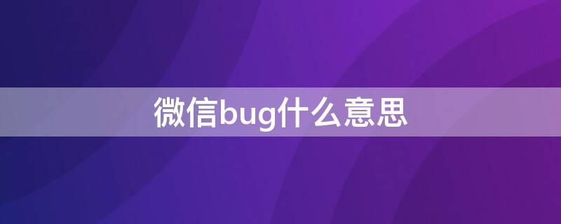 微信bug什么意思