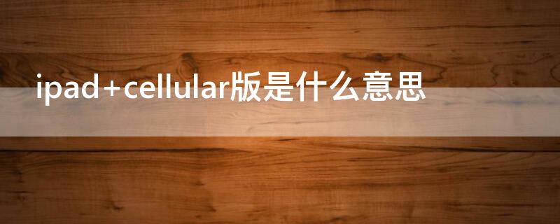 ipad cellular版是什么意思