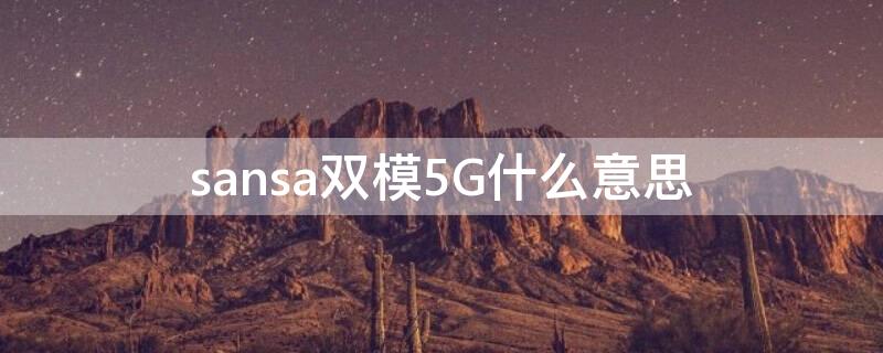 sansa双模5G什么意思