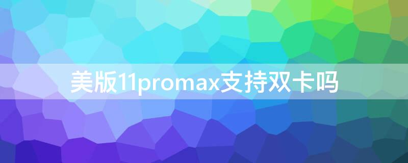 美版11promax支持双卡吗