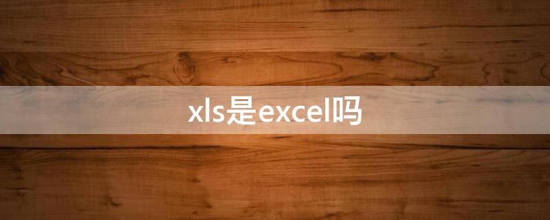 xls是excel吗