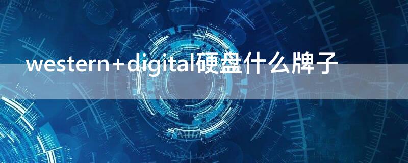 western digital硬盘什么牌子