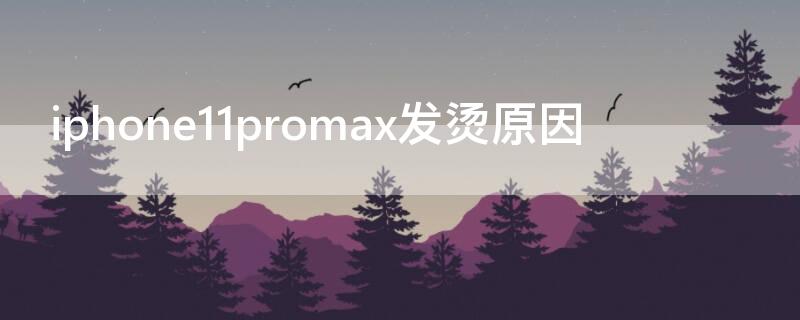 iPhone11promax发烫原因