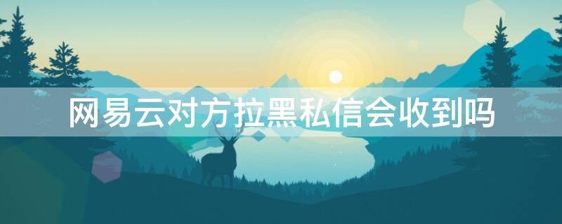 网易云对方拉黑私信会收到吗