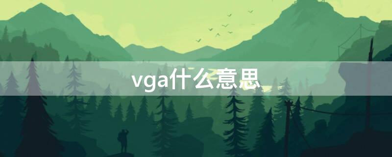 vga什么意思