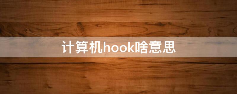 计算机hook啥意思