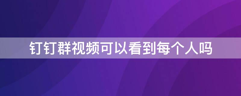 钉钉群视频可以看到每个人吗