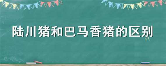 陆川猪和巴马香猪的区别 陆川猪和巴马香猪的区别图片