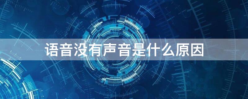 语音没有声音是什么原因