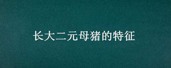 长大二元母猪的特征 长大二元母猪的特点