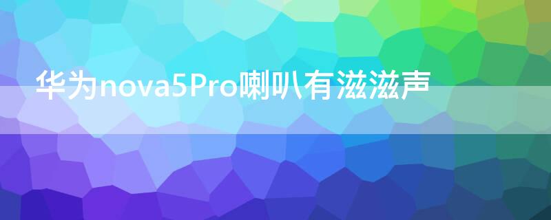 华为nova5Pro喇叭有滋滋声