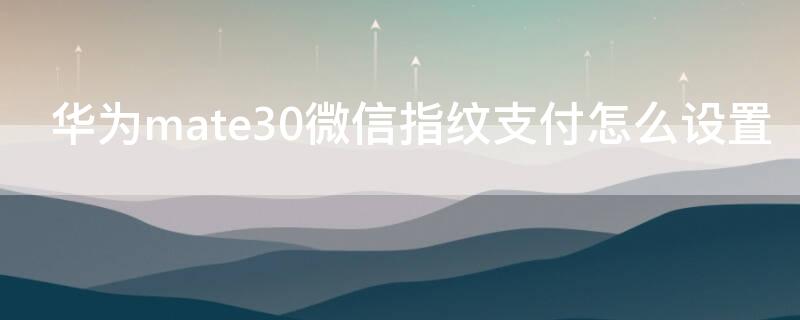 华为mate30微信指纹支付怎么设置