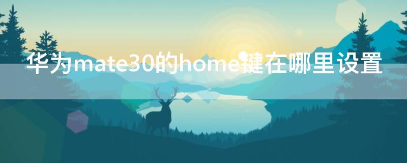 华为mate30的home键在哪里设置