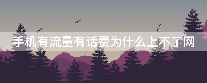 手机有流量有话费为什么上不了网