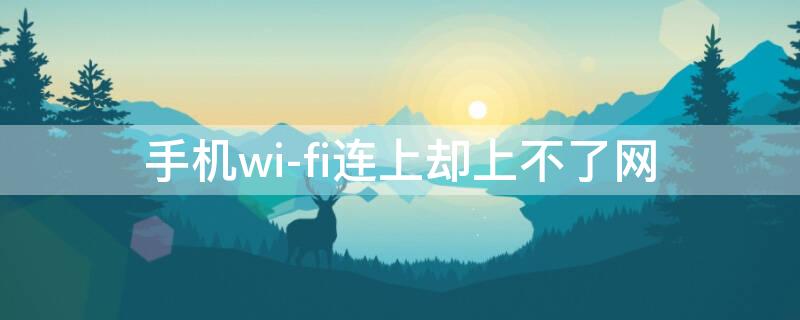 手机wi-fi连上却上不了网