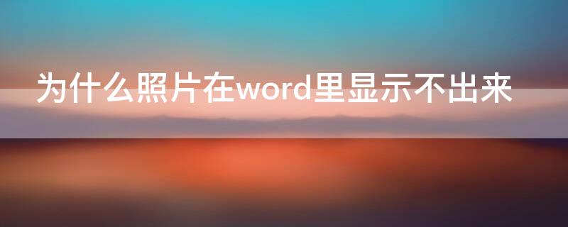 为什么照片在word里显示不出来