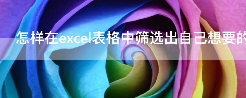 怎样在excel表格中筛选出自己想要的信息