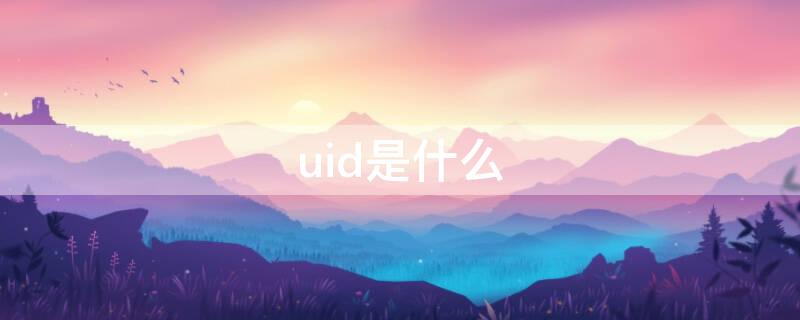 uid是什么