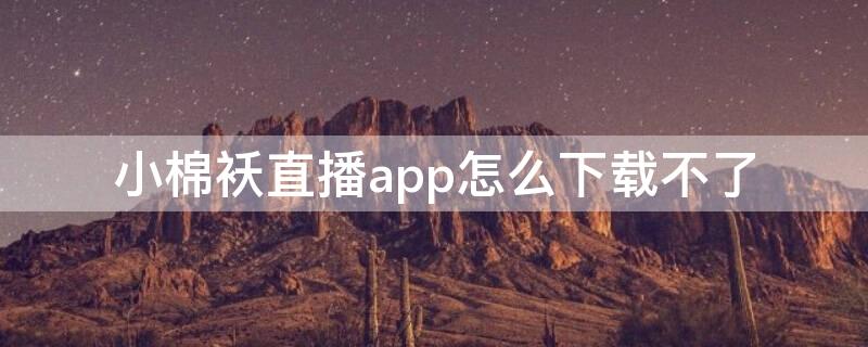 小棉袄直播app怎么下载不了