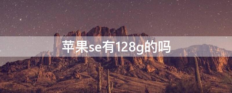 iPhonese有128g的吗