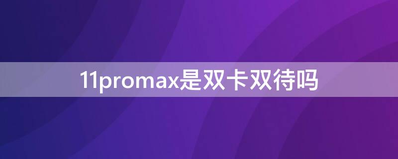 11promax是双卡双待吗