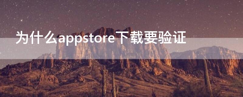 为什么appstore下载要验证