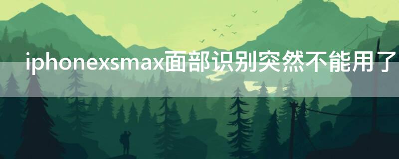 iPhonexsmax面部识别突然不能用了