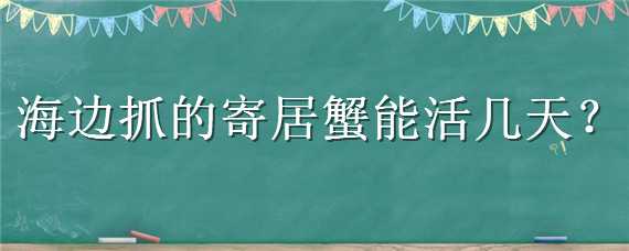 海边抓的寄居蟹能活几天（海边抓的寄居蟹能养活吗）