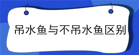 吊水鱼与不吊水鱼区别（吊水鱼与不吊水鱼区别）