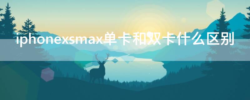 iPhonexsmax单卡和双卡什么区别