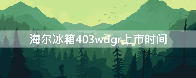 海尔冰箱403wdgr上市时间