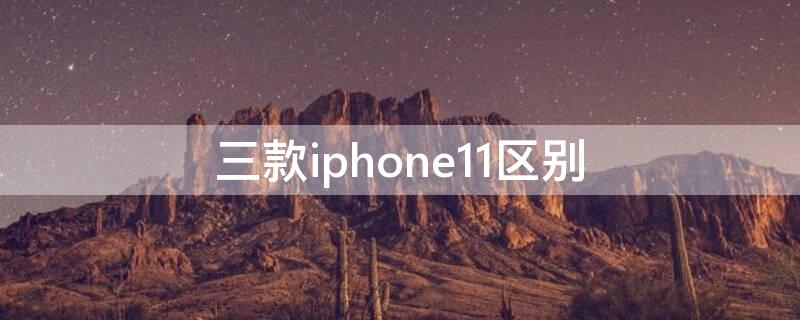 三款iPhone11区别