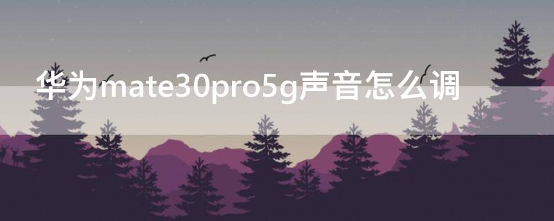 华为mate30pro5g声音怎么调