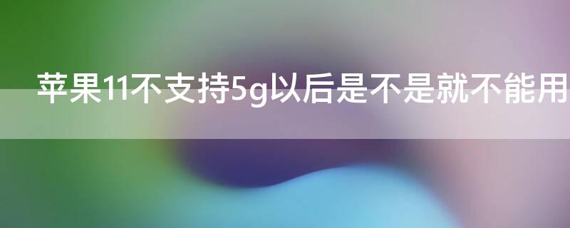 iPhone11不支持5g以后是不是就不能用了