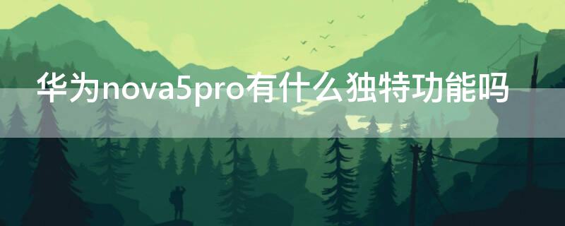 华为nova5pro有什么独特功能吗