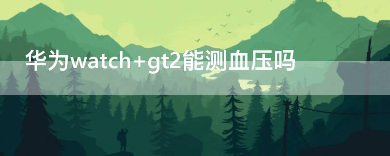 华为watch gt2能测血压吗