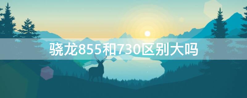 骁龙855和730区别大吗