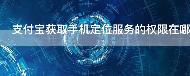 支付宝获取手机定位服务的权限在哪里