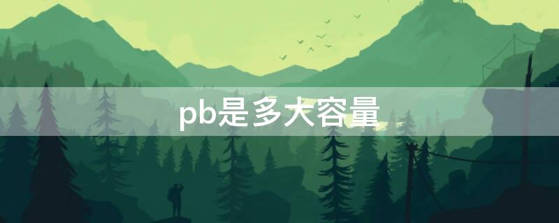 pb是多大容量（pb多少g）